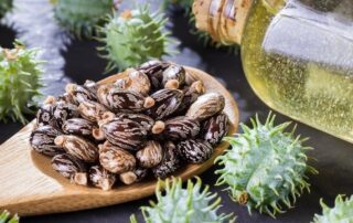 طرز استفاده و خواص روغن کرچک برای ابرو