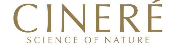 logo-cinere