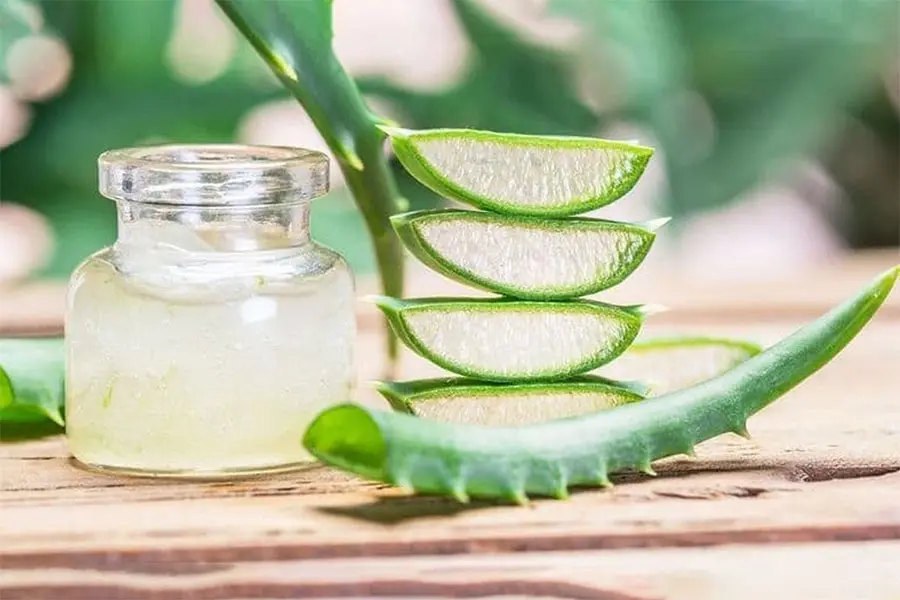 مقاله راهنمای خرید و استفاده از بهترین ژل آلوورا خارجی و ایرانی برای صورت