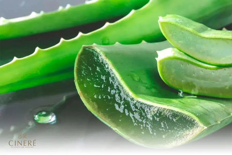 خواص بهترین ژل آلوئه ورا برای پوست