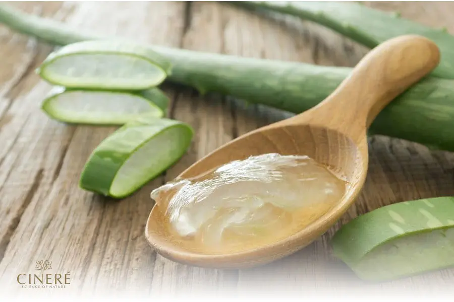 ماسک آلوئه ورا برای برطرف کردن جوش صورت
