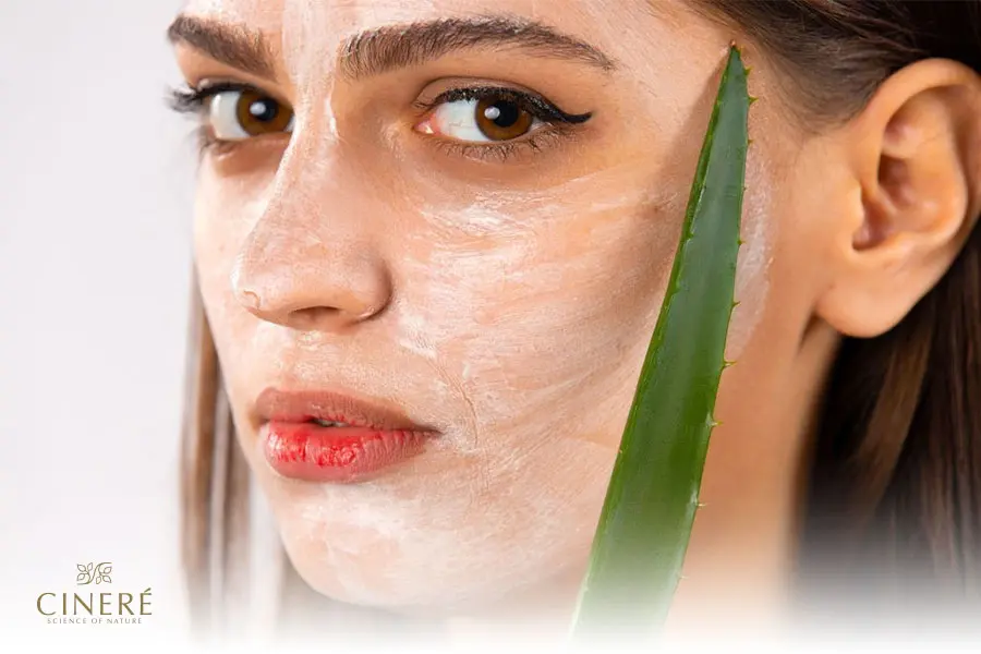 استفاده از آلوئهورا برای سفید شدن پوست آفتاب سوخته